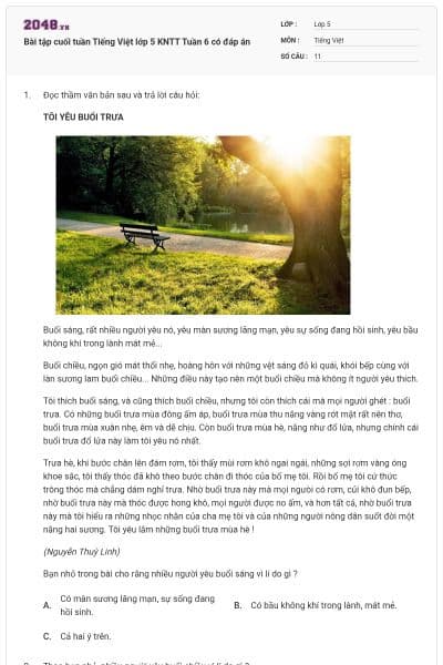 Bài tập cuối tuần Tiếng Việt lớp 5 KNTT Tuần 6 có đáp án