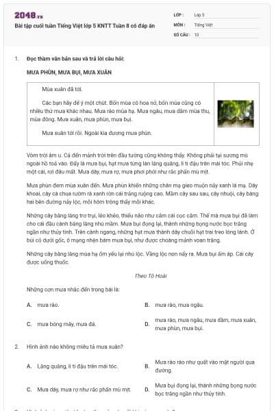 Bài tập cuối tuần Tiếng Việt lớp 5 KNTT Tuần 8 có đáp án