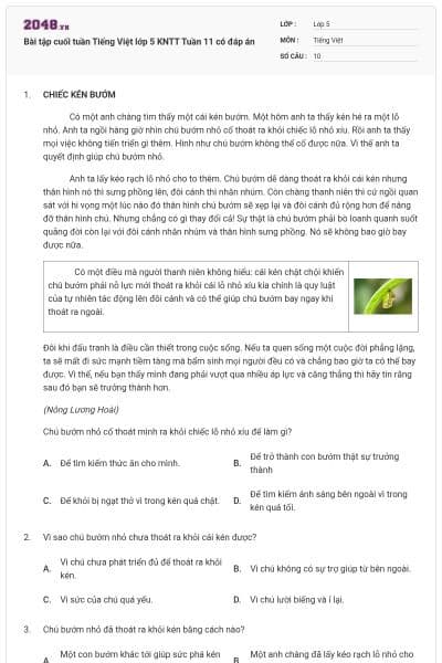 Bài tập cuối tuần Tiếng Việt lớp 5 KNTT Tuần 11 có đáp án