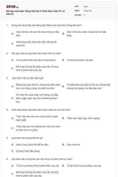 Bài tập cuối tuần Tiếng Việt lớp 5 Cánh diều Tuần 31 có đáp án