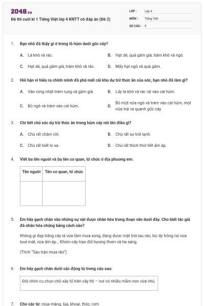 Đề thi cuối kì 1 Tiếng Việt lớp 4 KNTT có đáp án (Đề 2)