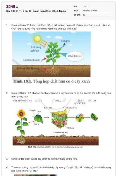 Giải SGK KHTN 7 Bài 18: quang hợp ở thực vật có đáp án
