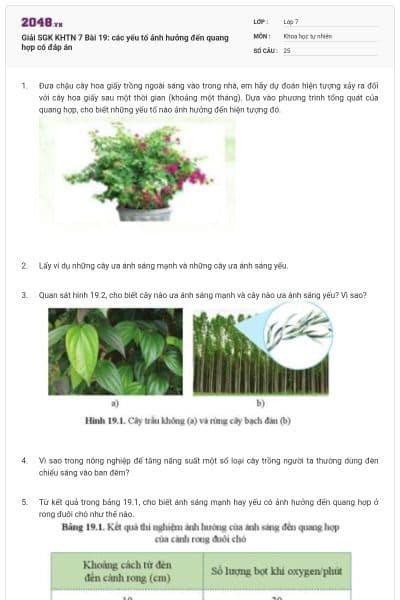 Giải SGK KHTN 7 Bài 19: các yếu tố ảnh hưởng đến quang hợp có đáp án