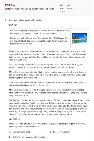 Bài tập cuối tuần Tiếng Việt lớp 5 KNTT Tuần 34 có đáp án