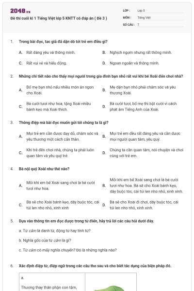 Đề thi cuối kì 1 Tiếng Việt lớp 5 KNTT có đáp án ( Đề 3 )