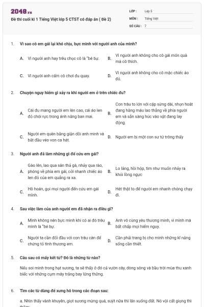 Đề thi cuối kì 1 Tiếng Việt lớp 5 CTST có đáp án ( Đề 2)