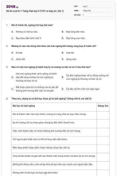 Đề thi cuối kì 1 Tiếng Việt lớp 5 CTST có đáp án ( Đề 7)