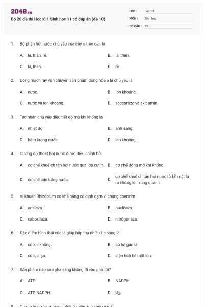 Bộ 20 đề thi Học kì 1 Sinh học 11 có đáp án (đề 10)