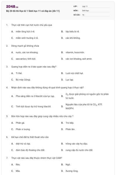 Bộ 20 đề thi Học kì 1 Sinh học 11 có đáp án (đề 11)