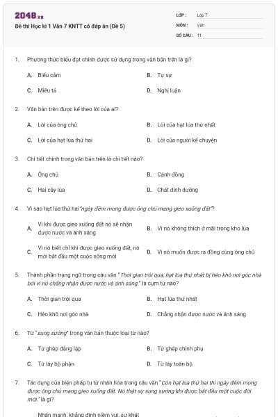 Đề thi Học kì 1 Văn 7 KNTT có đáp án (Đề 5)