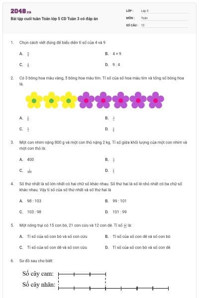 Bài tập cuối tuần Toán lớp 5 CD Tuần 3 có đáp án