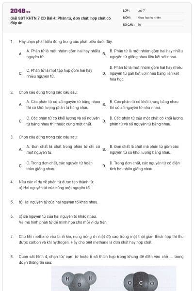 Giải SBT KHTN 7 CD Bài 4: Phân tử, đơn chất, hợp chất có đáp án