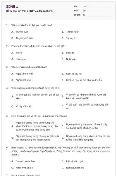 Đề thi Học kì 1 Văn 7 KNTT có đáp án (Đề 9)