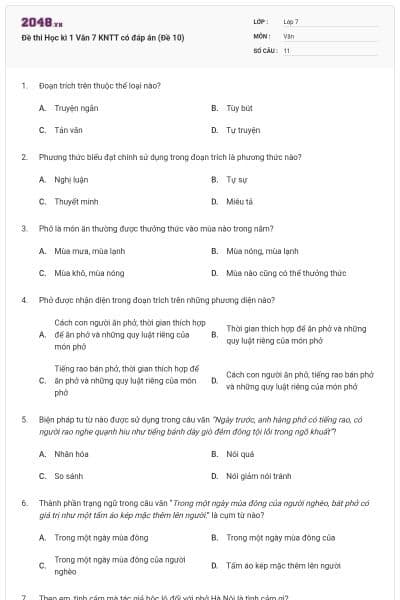 Đề thi Học kì 1 Văn 7 KNTT có đáp án (Đề 10)