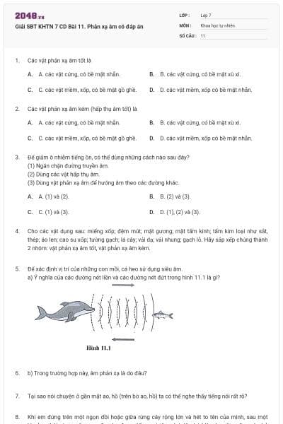 Giải SBT KHTN 7 CD Bài 11. Phản xạ âm có đáp án