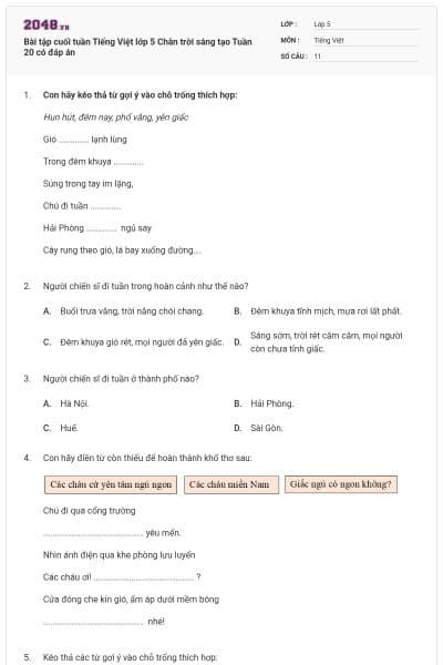 Bài tập cuối tuần Tiếng Việt lớp 5 Chân trời sáng tạo Tuần 20 có đáp án