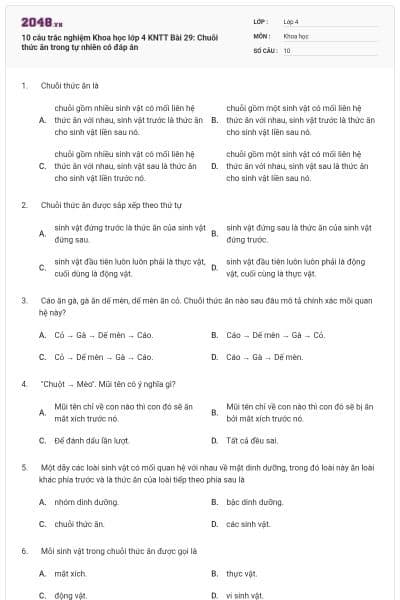 10 câu trắc nghiệm Khoa học lớp 4 KNTT Bài 29: Chuỗi thức ăn trong tự nhiên có đáp án