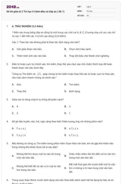 Đề thi giữa kì 2 Tin học 6 Cánh diều có đáp án ( Đề 1)