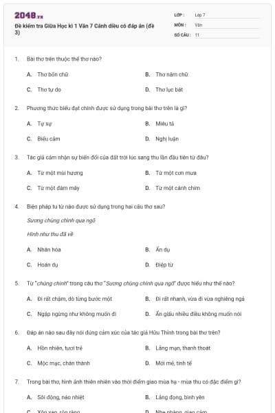 Đề kiểm tra Giữa Học kì 1 Văn 7 Cánh diều có đáp án (đề 3)