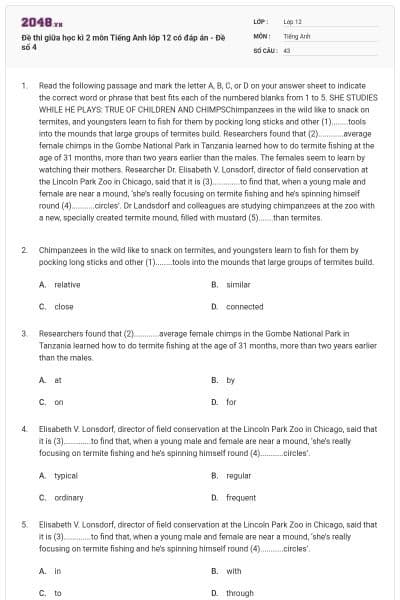 Đề thi giữa học kì 2 môn Tiếng Anh lớp 12 có đáp án - Đề số 4