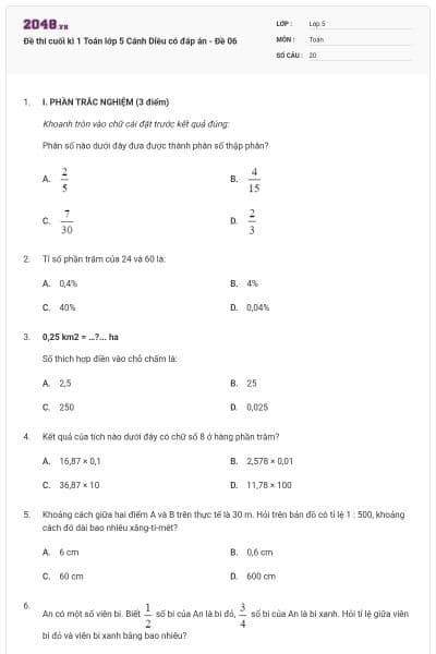 Đề thi cuối kì 1 Toán lớp 5 Cánh Diều có đáp án - Đề 06