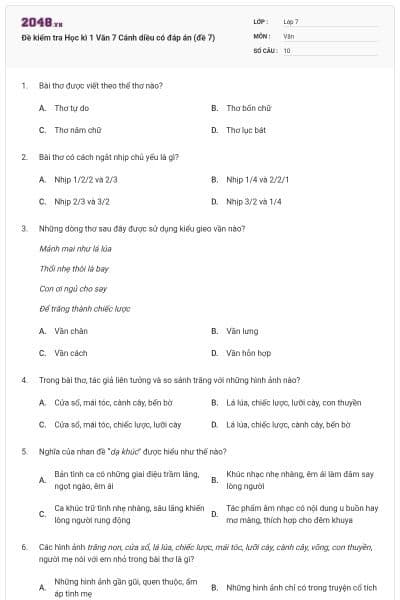 Đề kiểm tra Học kì 1 Văn 7 Cánh diều có đáp án (đề 7)