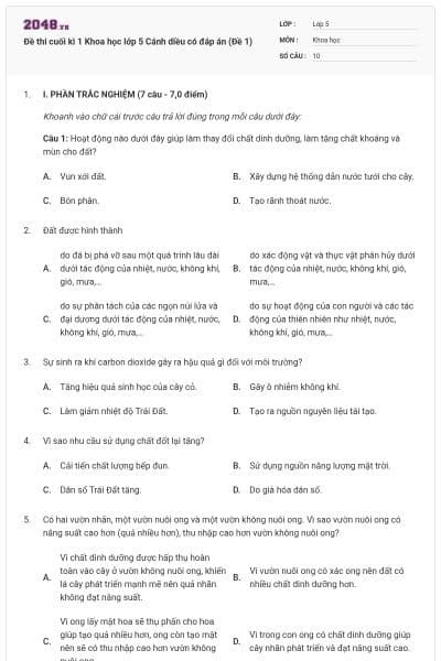 Đề thi cuối kì 1 Khoa học lớp 5 Cánh diều có đáp án (Đề 1)