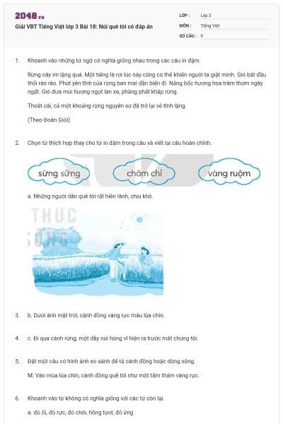 Giải VBT Tiếng Việt lớp 3 Bài 18: Núi quê tôi có đáp án