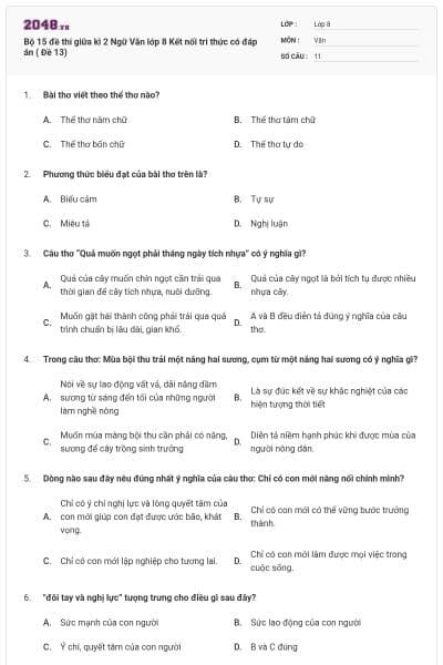 Bộ 15 đề thi giữa kì 2 Ngữ Văn lớp 8 Kết nối tri thức có đáp án ( Đề 13)