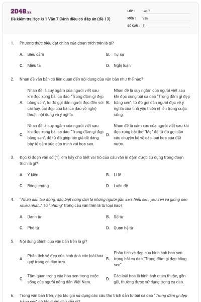 Đề kiểm tra Học kì 1 Văn 7 Cánh diều có đáp án (đề 13)