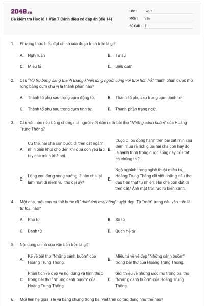 Đề kiểm tra Học kì 1 Văn 7 Cánh diều có đáp án (đề 14)