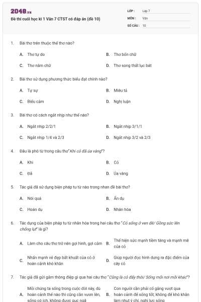 Đề thi cuối học kì 1 Văn 7 CTST có đáp án (đề 10)