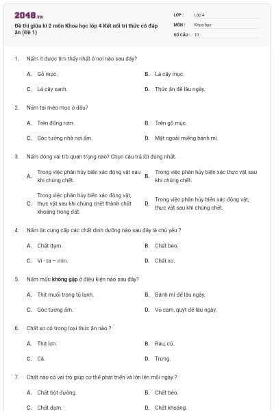 Đề thi giữa kì 2 môn Khoa học lớp 4 Kết nối tri thức có đáp án (Đề 1)