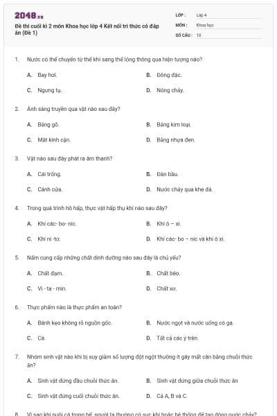 Đề thi cuối kì 2 môn Khoa học lớp 4 Kết nối tri thức có đáp án (Đề 1)