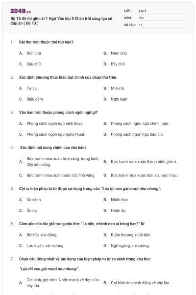 Bộ 15 đề thi giữa kì 1 Ngữ Văn lớp 8 Chân trời sáng tạo có đáp án ( Đề 13 )