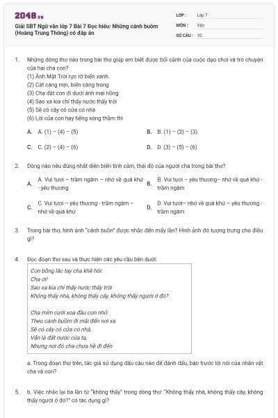 Giải SBT Ngữ văn lớp 7 Bài 7 Đọc hiểu: Những cánh buồm (Hoàng Trung Thông) có đáp án
