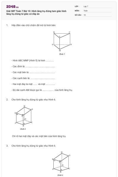 Giải SBT Toán 7 Bài 10: Hình lăng trụ đứng tam giác hình lăng trụ đứng tứ giác có đáp án