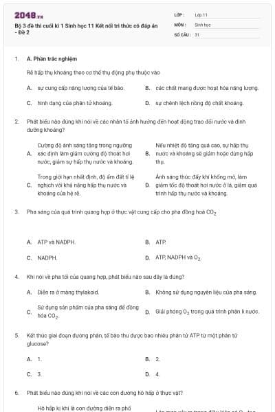 Bộ 3 đề thi cuối kì 1 Sinh học 11 Kết nối tri thức có đáp án - Đề 2