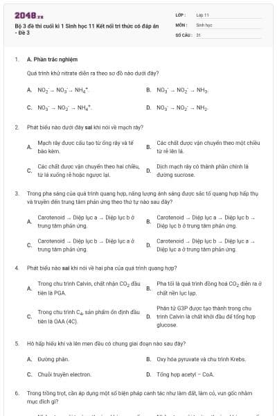 Bộ 3 đề thi cuối kì 1 Sinh học 11 Kết nối tri thức có đáp án - Đề 3