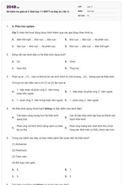 Đề kiểm tra giữa kì 2 Sinh học 11 KNTT có đáp án ( Đề 1)