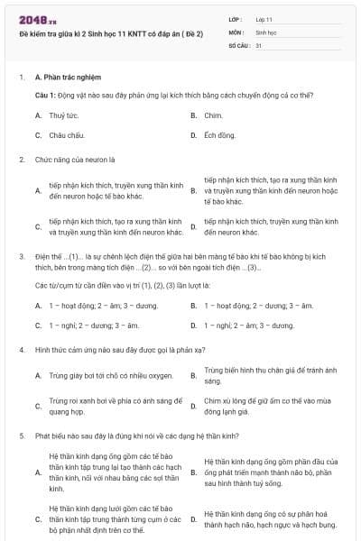 Đề kiểm tra giữa kì 2 Sinh học 11 KNTT có đáp án ( Đề 2)
