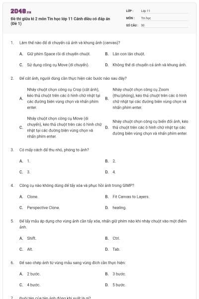 Đề thi giữa kì 2 môn Tin học lớp 11 Cánh diều có đáp án (Đề 1)