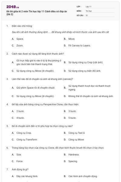Đề thi giữa kì 2 môn Tin học lớp 11 Cánh diều có đáp án (Đề 3)