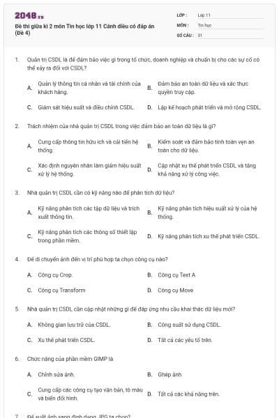Đề thi giữa kì 2 môn Tin học lớp 11 Cánh diều có đáp án (Đề 4)