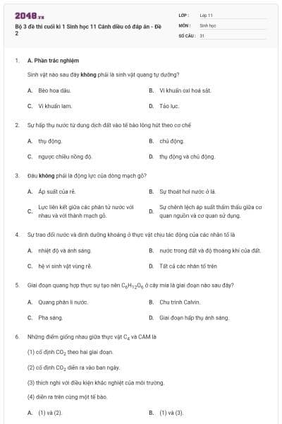 Bộ 3 đề thi cuối kì 1 Sinh học 11 Cánh diều có đáp án - Đề 2