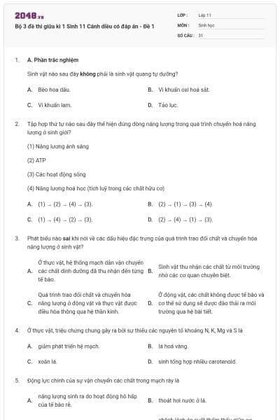 Bộ 3 đề thi giữa kì 1 Sinh 11 Cánh diều có đáp án - Đề 1