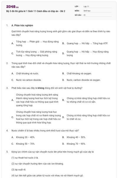 Bộ 3 đề thi giữa kì 1 Sinh 11 Cánh diều có đáp án - Đề 2