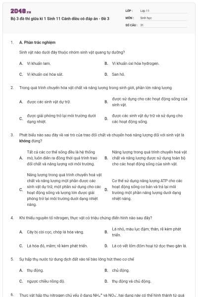 Bộ 3 đề thi giữa kì 1 Sinh 11 Cánh diều có đáp án - Đề 3