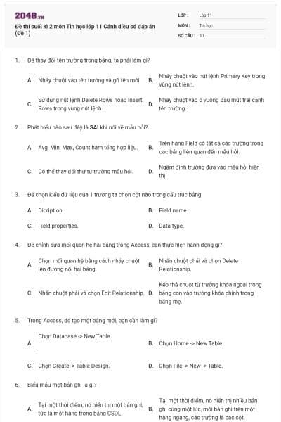 Đề thi cuối kì 2 môn Tin học lớp 11 Cánh diều có đáp án (Đề 1)