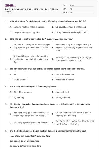 Bộ 15 đề thi giữa kì 1 Ngữ văn 11 Kết nối tri thức có đáp án - Đề 9